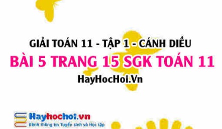 Giải bài 5 trang 15 Toán 11 tập 1 SGK Cánh Diều